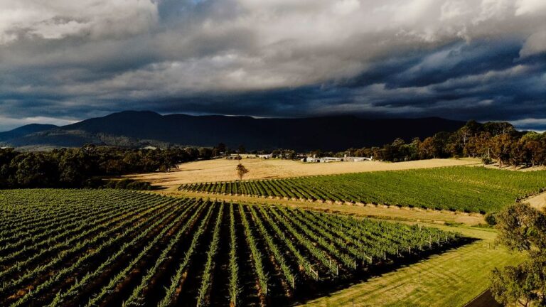 Bulong Estate Winery