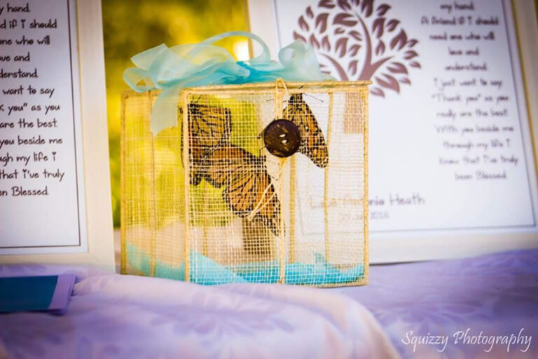 Butterfly Adventures