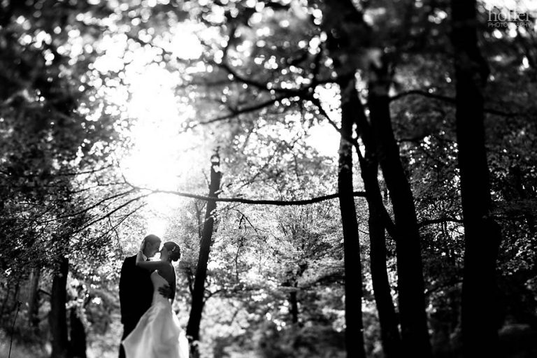 CreationsPhoto