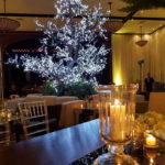 DecorTree Australia