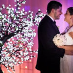 DecorTree Australia