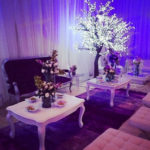 DecorTree Australia
