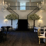 DecorTree Australia