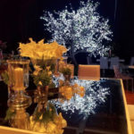 DecorTree Australia