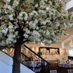 DecorTree Australia