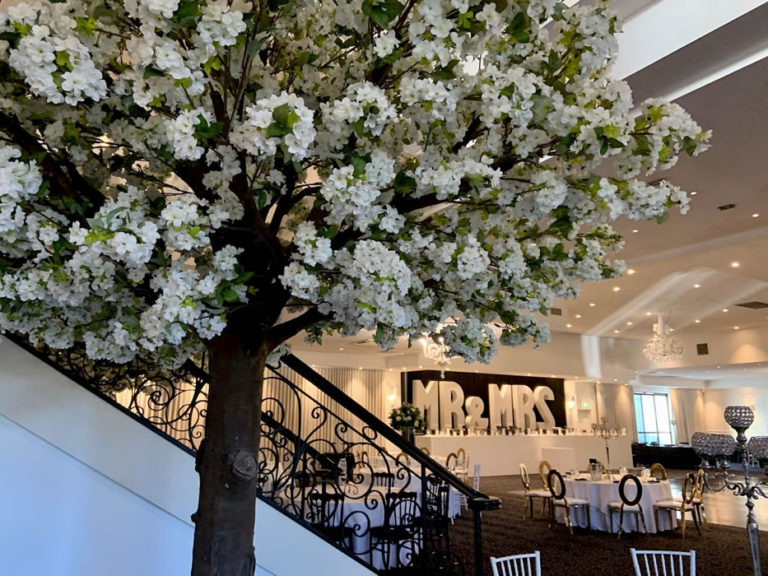 DecorTree Australia