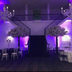 DecorTree Australia