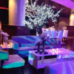 DecorTree Australia