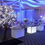 DecorTree Australia