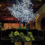 DecorTree Australia
