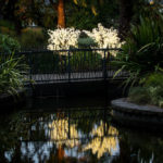 DecorTree Australia