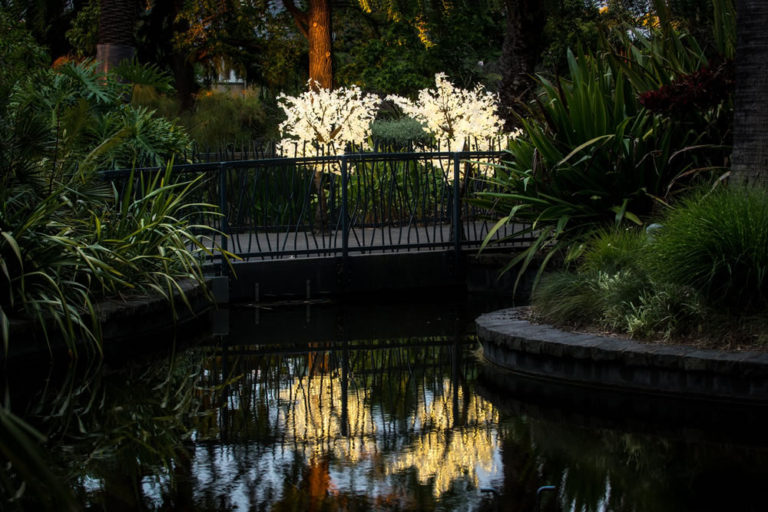 DecorTree Australia