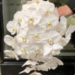 Dream Weddings and Events