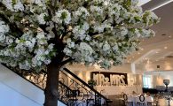 DecorTree Australia DecorTree Australia