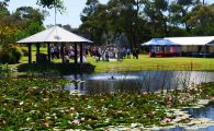 Friendly Garden Weddings Friendly Garden Weddings