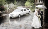 Red Carpet Limousines Red Carpet Limousines