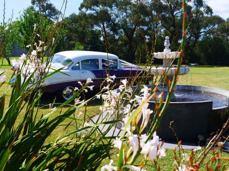 Friendly Garden Weddings