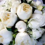Hailey Paige Flowers