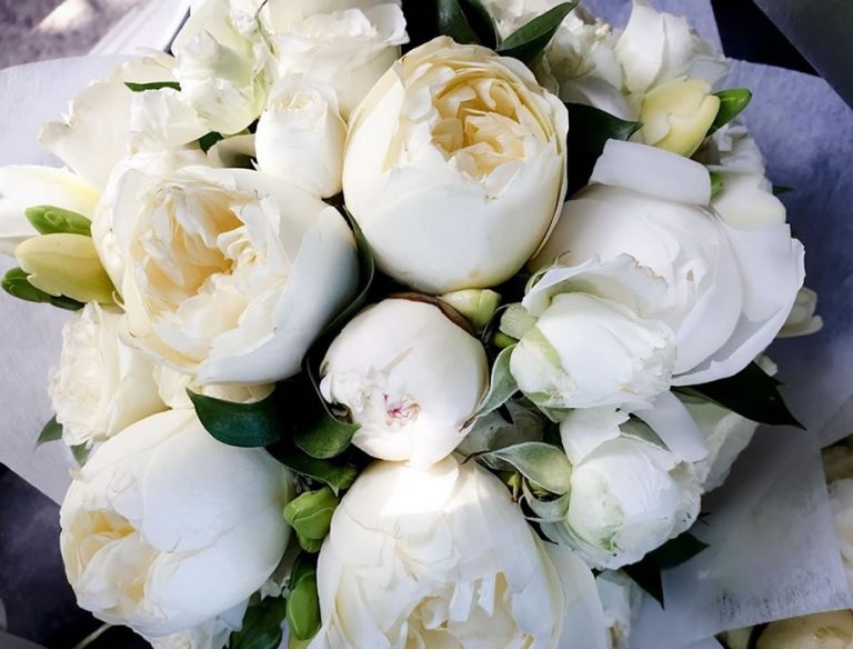 Hailey Paige Flowers