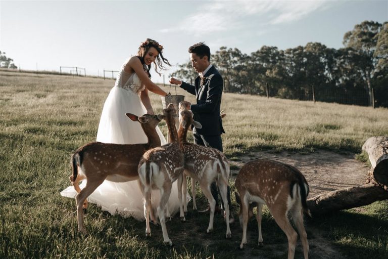 H M Allure Hair and Makeup