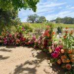 Lillypad Flowers & Events