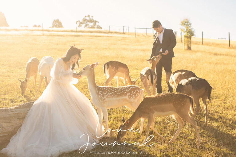 Love Journal Photography