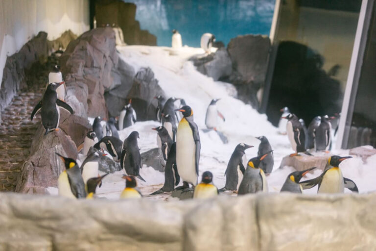 SEA LIFE Melbourne Aquarium