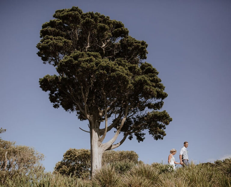 Mornington Golf Club