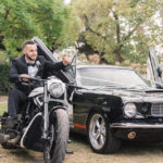 Mustangs in Black
