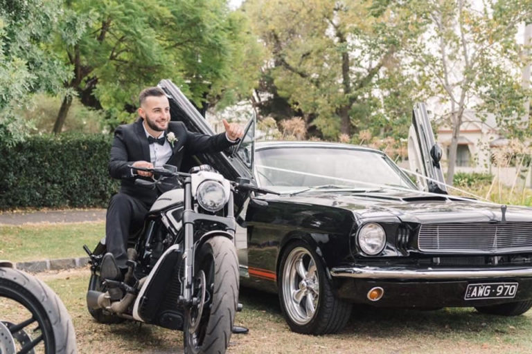 Mustangs in Black