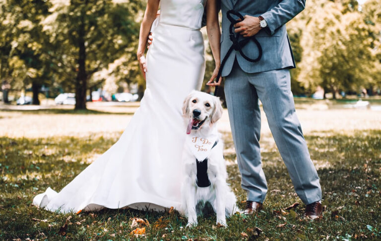 Read more about the article The Ultimate Guide to Including Pets at Your Wedding