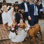 Congratulations Caitlyn & Dale