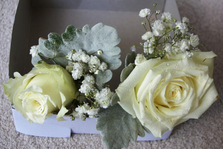 Congratulations Caroline and Adam
