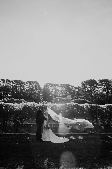 Congratulations Kaitlyn & Yoshi