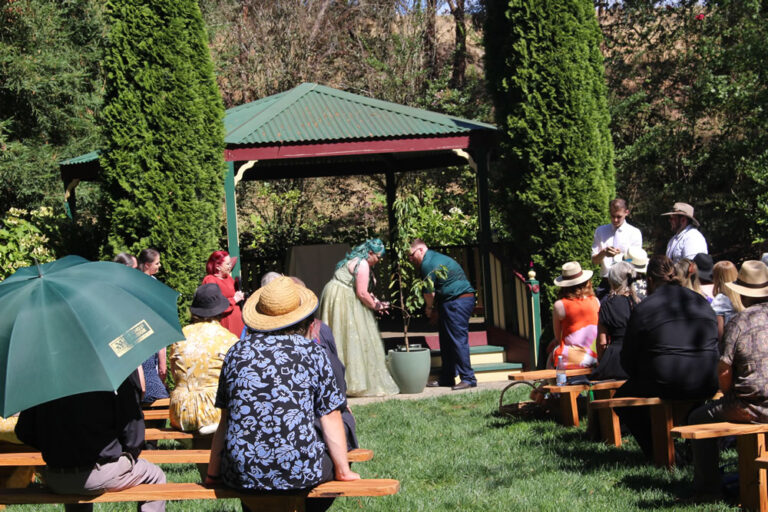 Read more about the article 5 Reasons Couples Across Victoria Love Symbolic Ceremonies