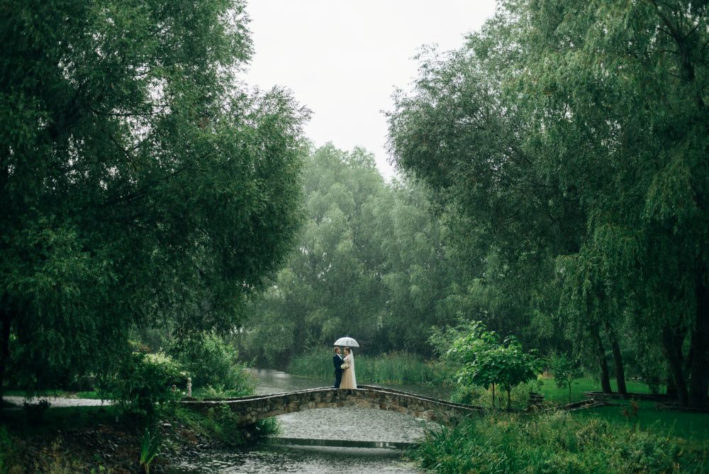 Read more about the article Best Season to Get Married in Victoria: Your Month-by-Month Guide