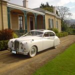 White Classic Jags
