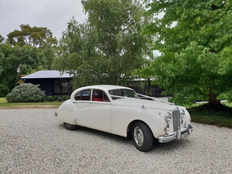 White Classic Jags